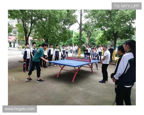 南京乒乓球队在阵地战中的表现分析与未来发展展望 南京乒乓球队在阵地战中的表现分析与未来发展展望