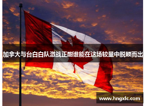 加拿大与台白白队激战正酣谁能在这场较量中脱颖而出